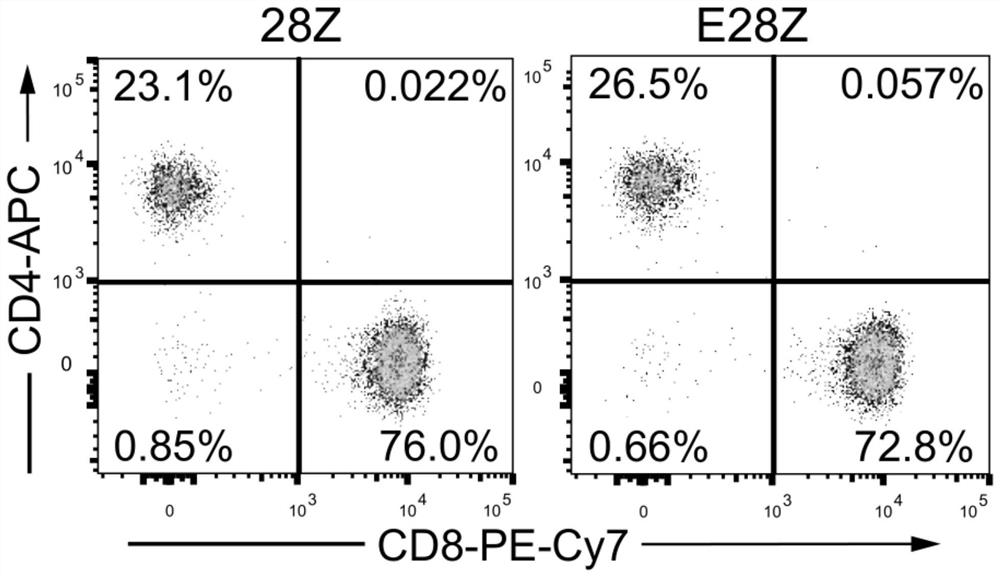 Chimeric antigen receptor and application thereof