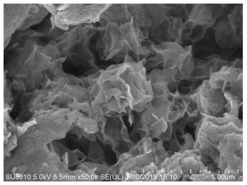 Photocatalytic film and its preparation method and application to the degradation of disinfection by-product precursors