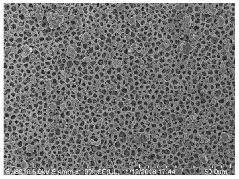 Photocatalytic film and its preparation method and application to the degradation of disinfection by-product precursors