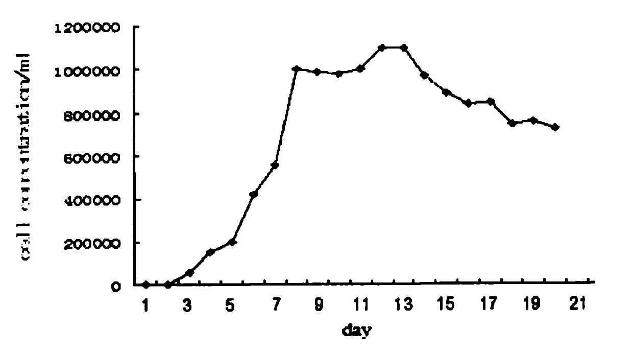 Skeletonema costatum PCNA gene detecting method