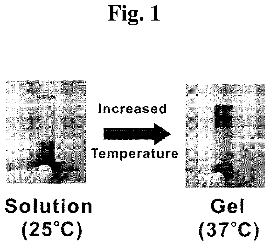 Phosphazene-based polymer for tissue adhesion, a method for preparing the same, and use thereof