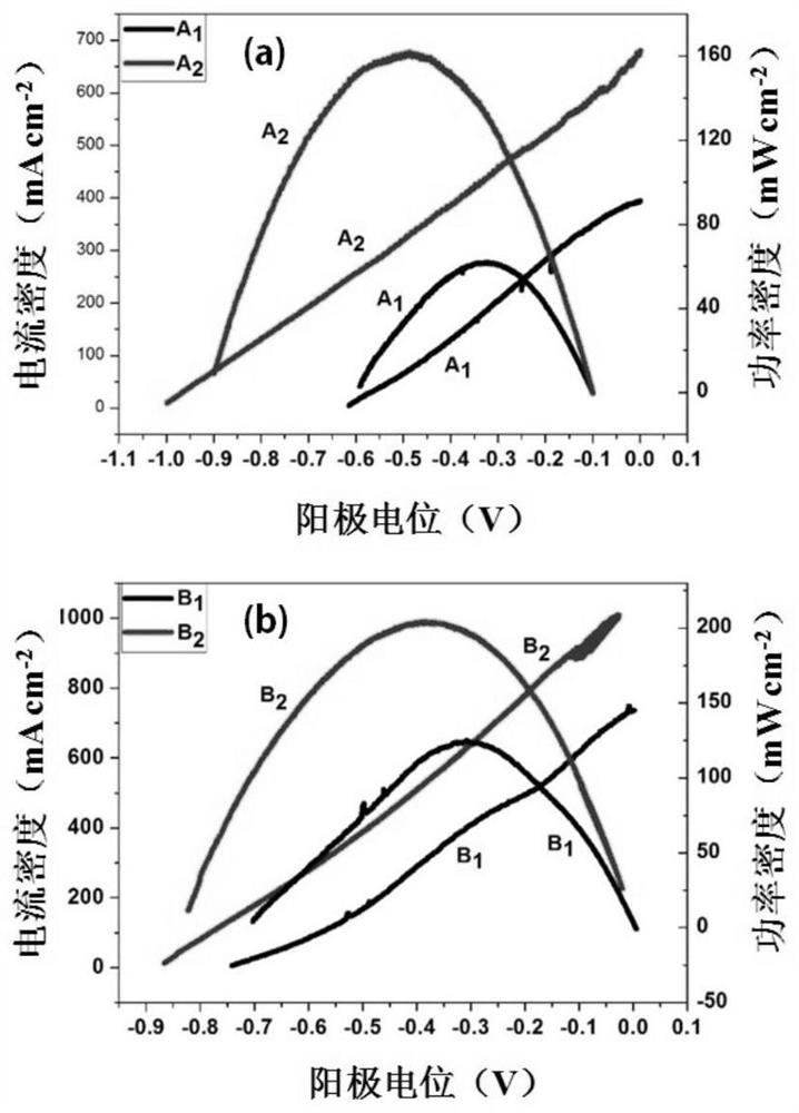 A High Power Density Molten Carbonate Direct Coal/Carbon Fuel Cell