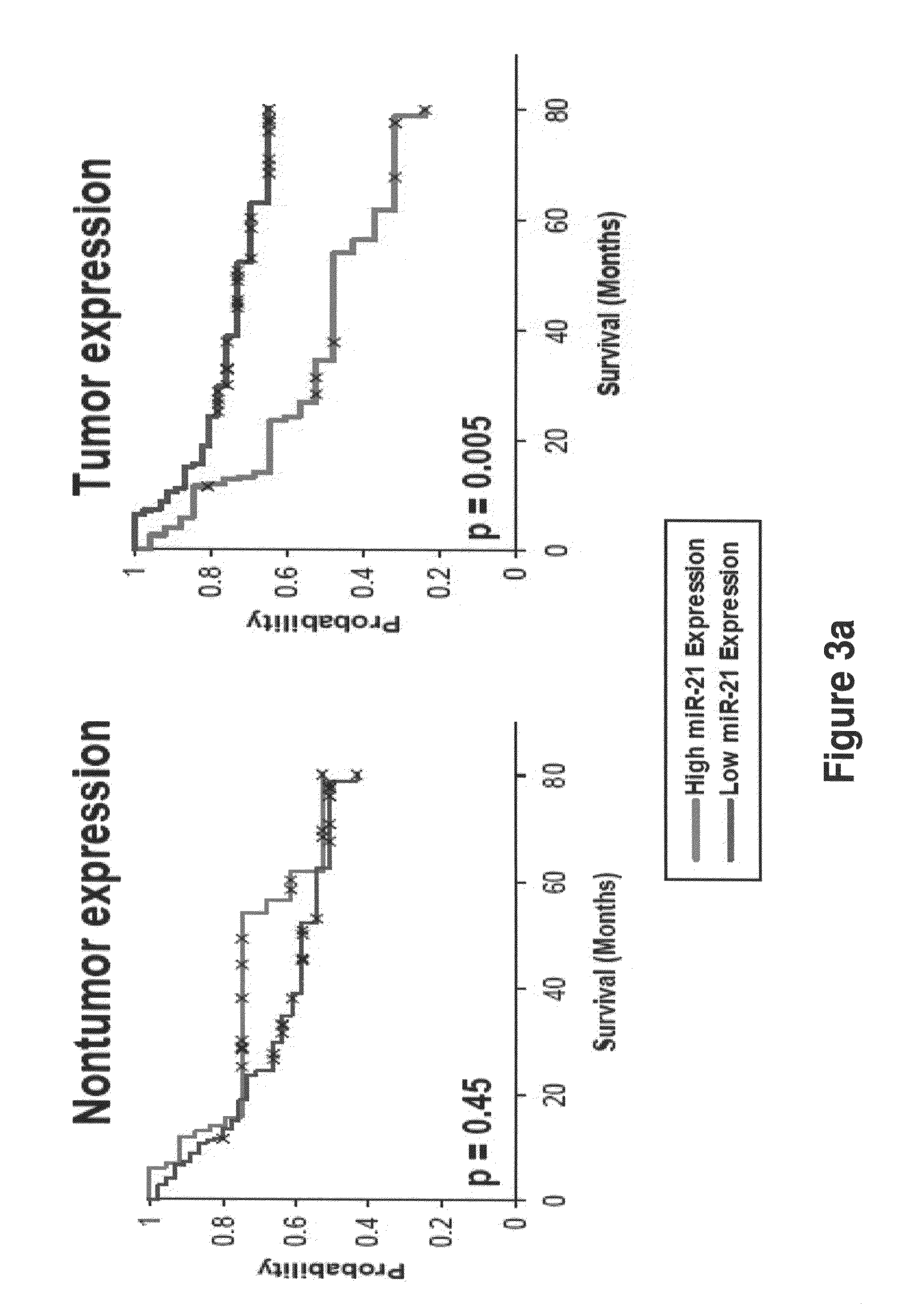 METHOD OF DIAGNOSING POOR SURVIVAL PROGNOSIS COLON CANCER USING miR-106a