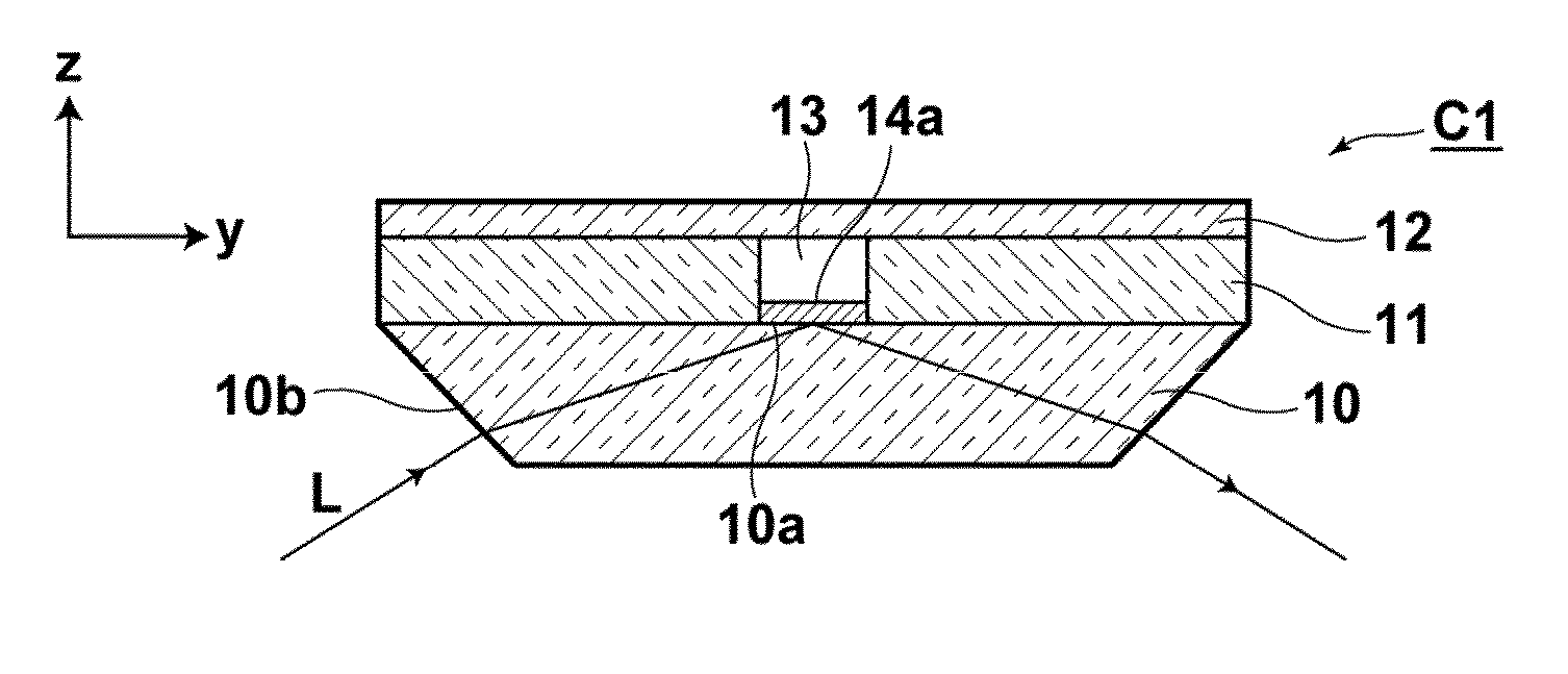 Total reflection illuminated sensor chip, method for producing the total reflection illuminated sensor chip, and sensing method using the total reflection illuminated sensor chip