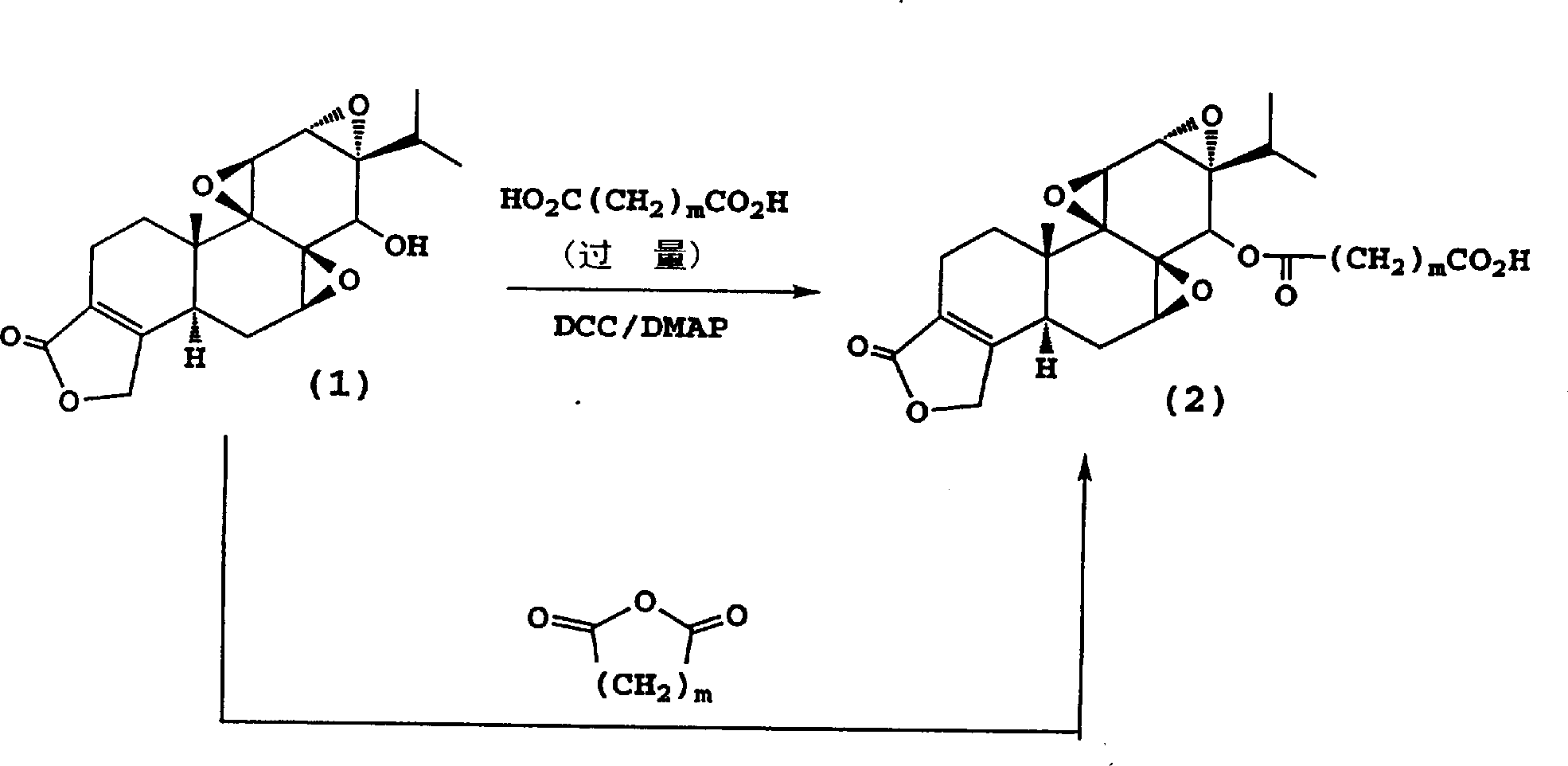 Immunosuppressive compounds and methods