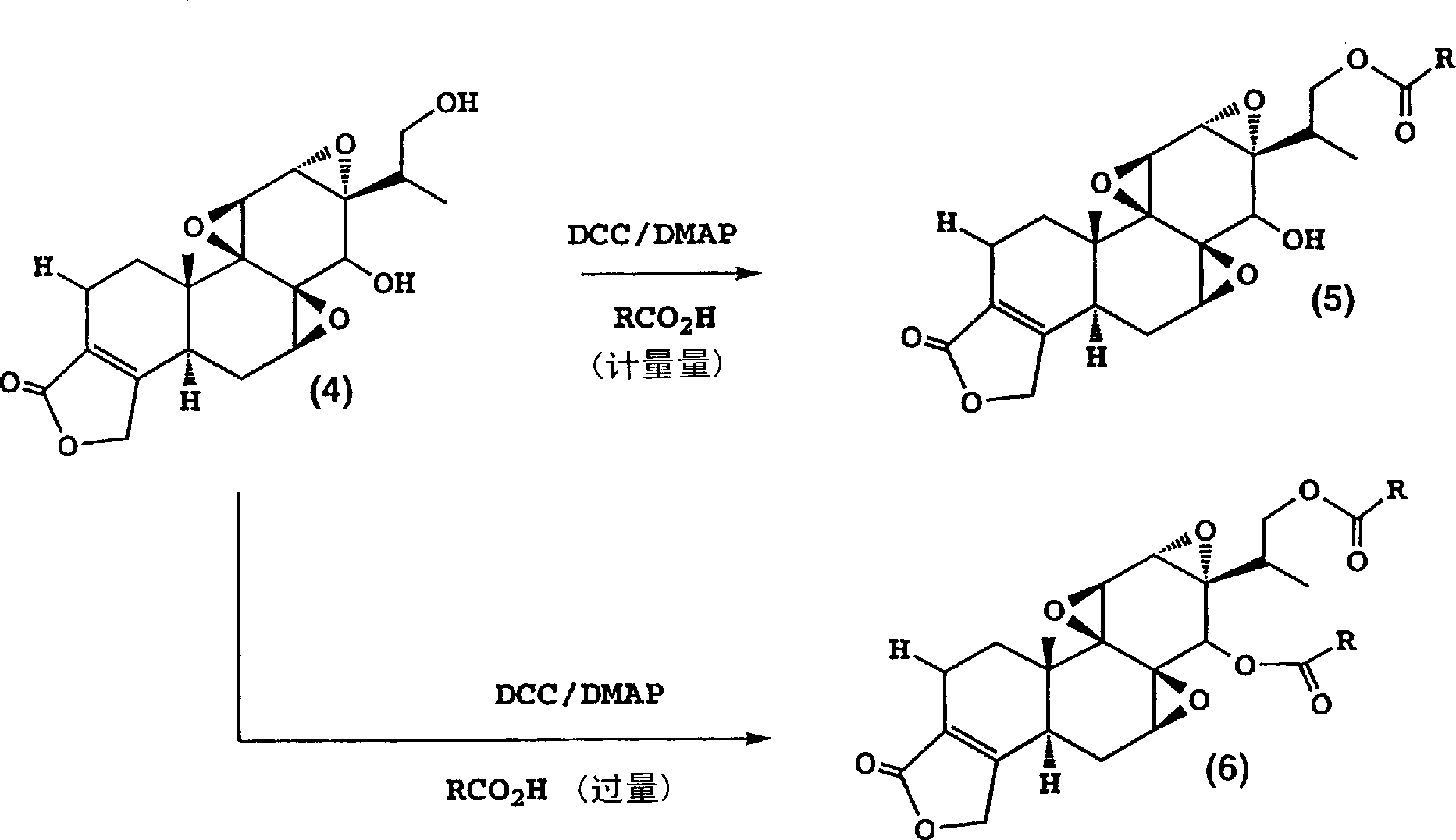 Immunosuppressive compounds and methods