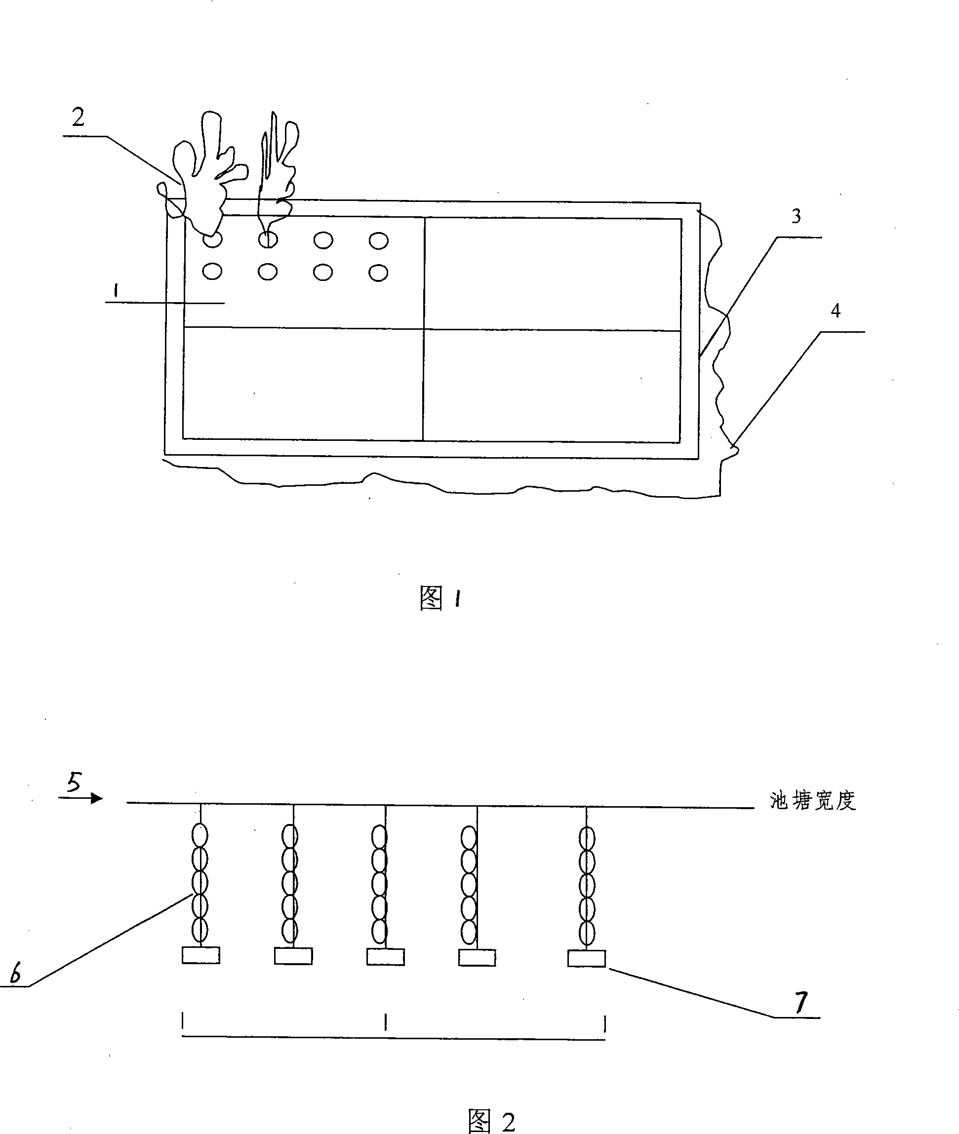 Pool zoology self-cleaning turtle breeding, cleaning and producing method