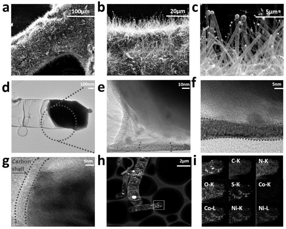 A kind of bifunctional catalyst for oxygen evolution and oxygen reduction and preparation method thereof