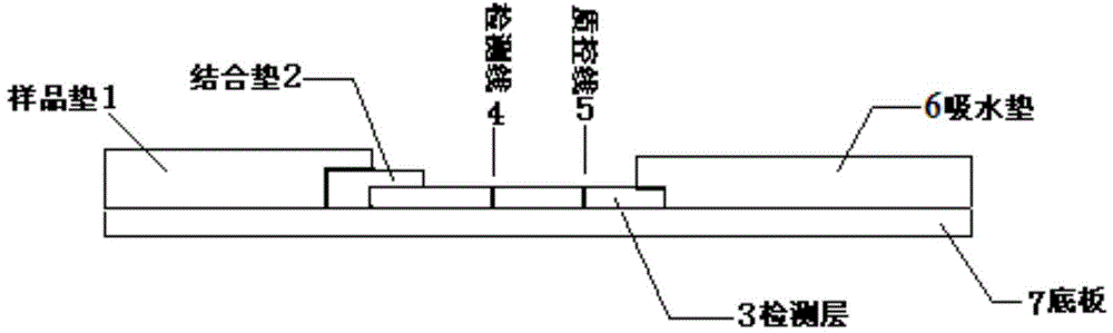 Moraxella catarrhalis quantum dot-immunochromatography detection card and preparation method and application thereof