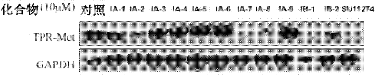 Trifluoro methyl substituted quinoline or quinoxaline compound and preparation method thereof, and pharmaceutical composition containing the compound and purpose thereof