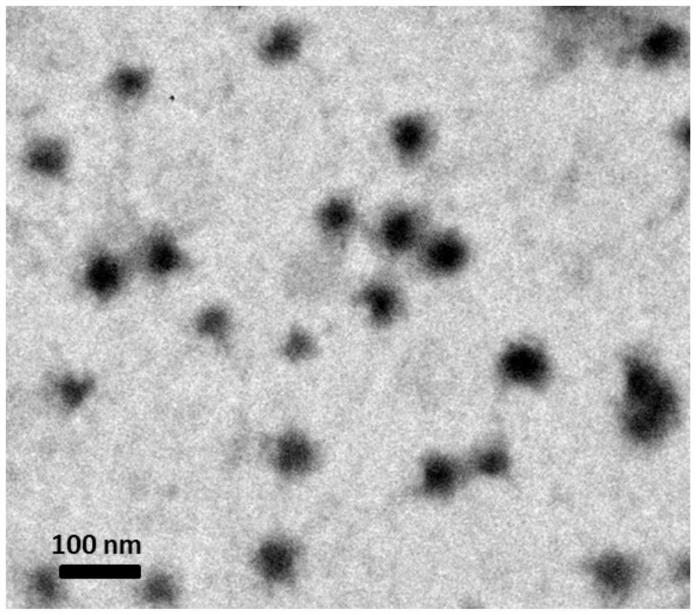 A kind of metal-organic complex nanomaterial and its preparation method and application