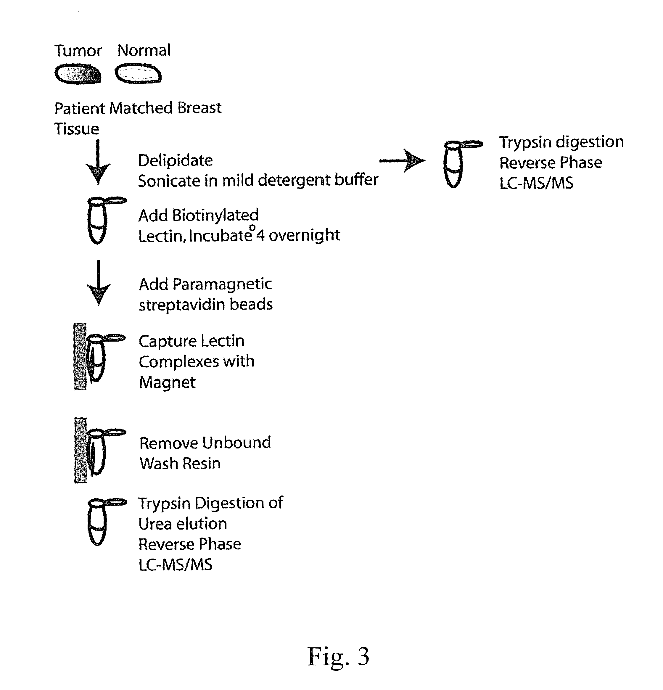 Glycoprotein cancer biomarker