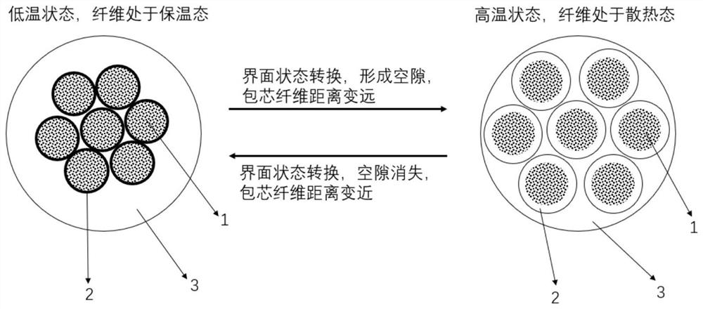 Fiber bundle with self-adaptive human body heat management function and preparation method thereof