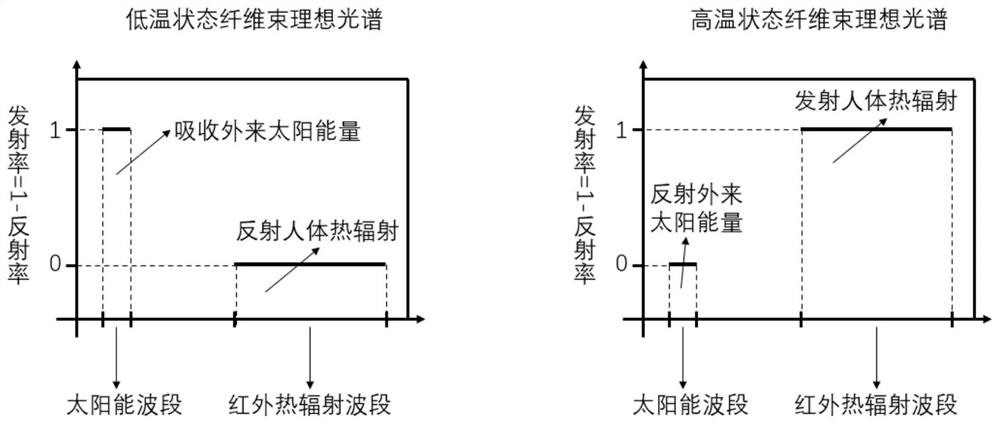 Fiber bundle with self-adaptive human body heat management function and preparation method thereof