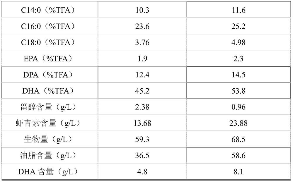 Application of morpholine in controlling unsaponifiable matter content in schizochytrium limacinum fermentation process and increasing DHA grease content