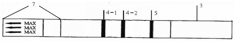 A dipstick used for testing sulfonamides and fluoroquinolones and test method thereof