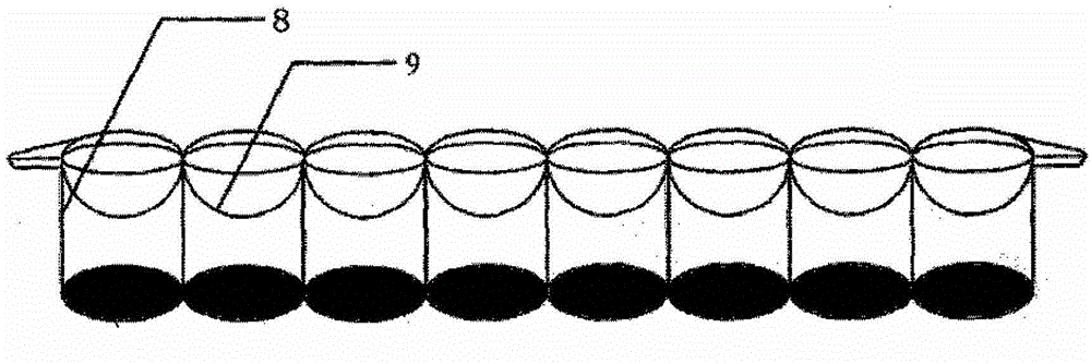 A dipstick used for testing sulfonamides and fluoroquinolones and test method thereof