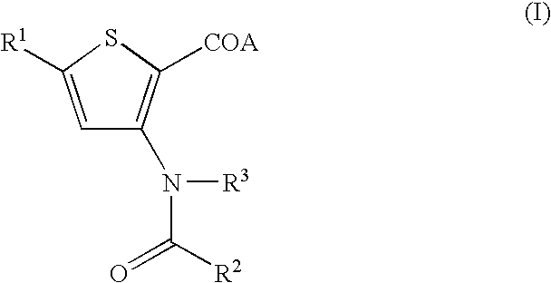 Antiviral 2-Carboxy-Thiophene Compounds