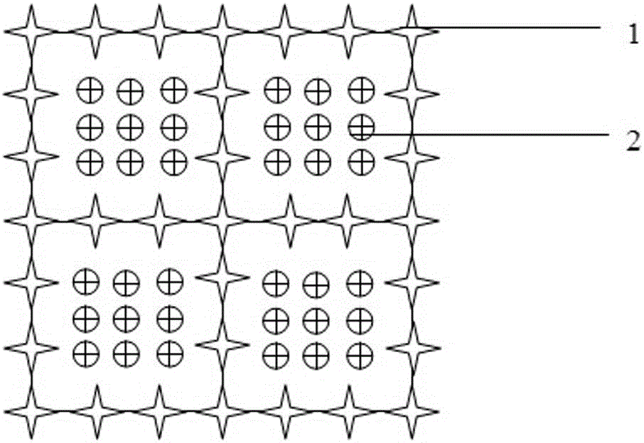 Method for purifying water body by planting submerged plants with different root-shoot ratios together