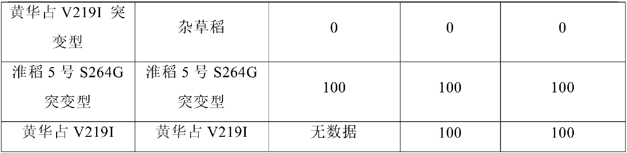 Mutation type PSII D1 or psbA D1 protein, and coding nucleic acid and application thereof