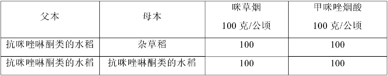 Mutation type PSII D1 or psbA D1 protein, and coding nucleic acid and application thereof