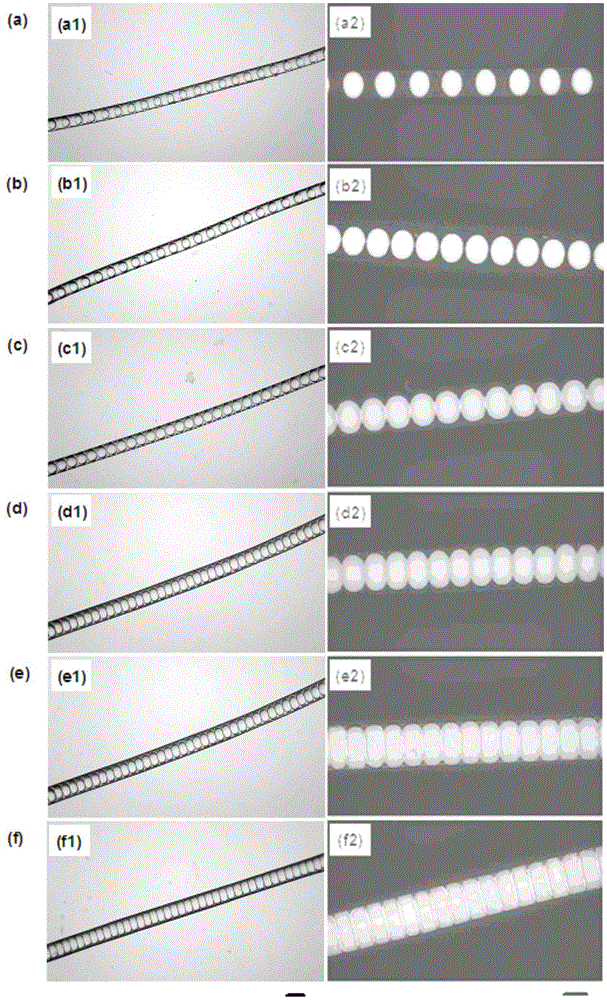 Phase change energy storage fiber with isolation cavities as well as preparation method of phase change energy storage fiber