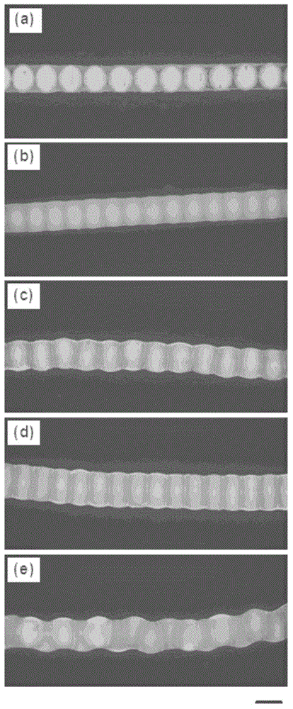 Phase change energy storage fiber with isolation cavities as well as preparation method of phase change energy storage fiber