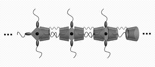 Preparation method of super-molecular nano fiber for magnetic resonance imaging radiography