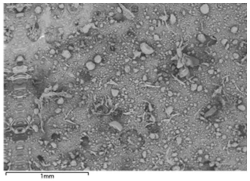 Dry method for preparing lithium battery positive and negative plates