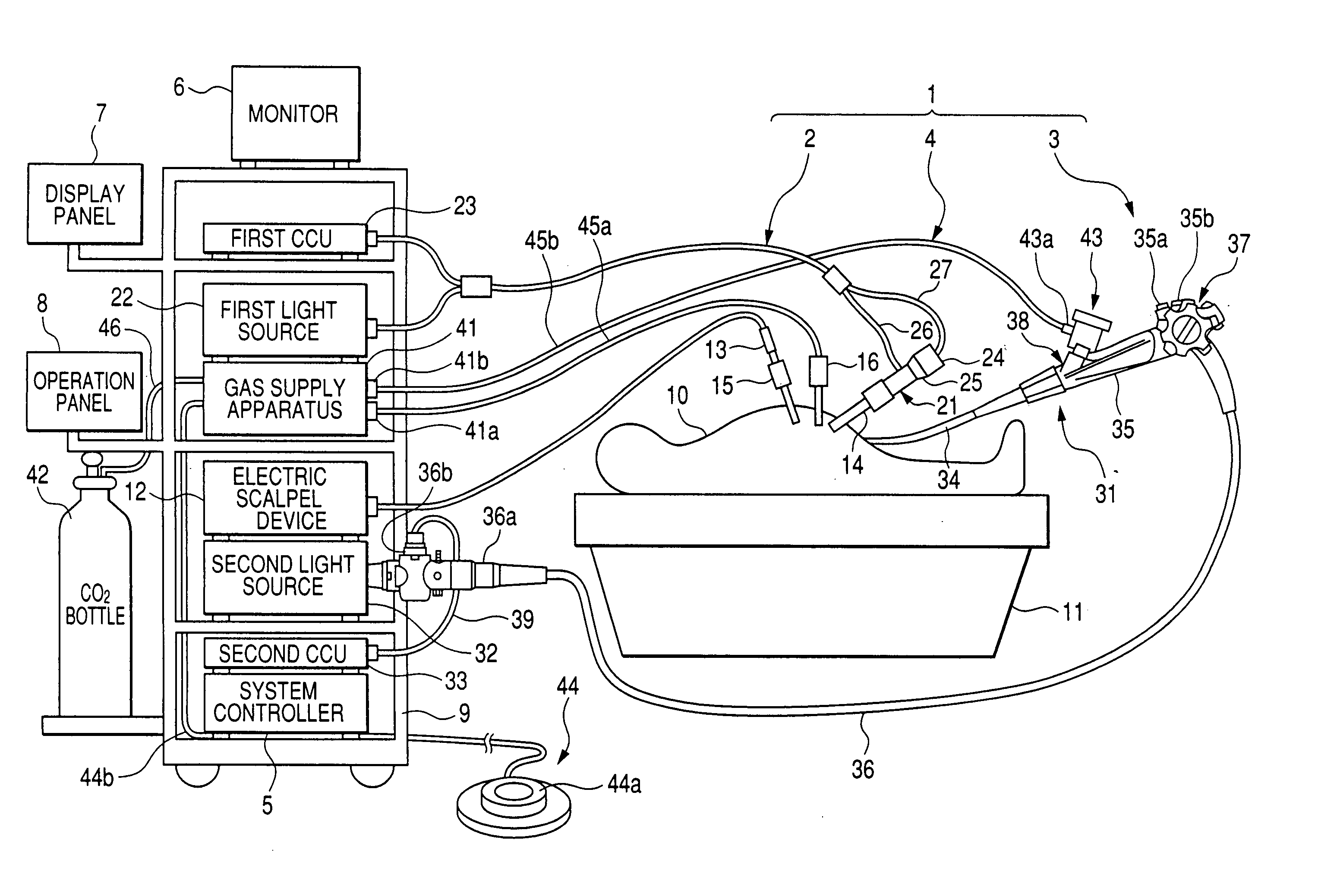 Method and system for supplying predetermined gas into body cavities of a specimen