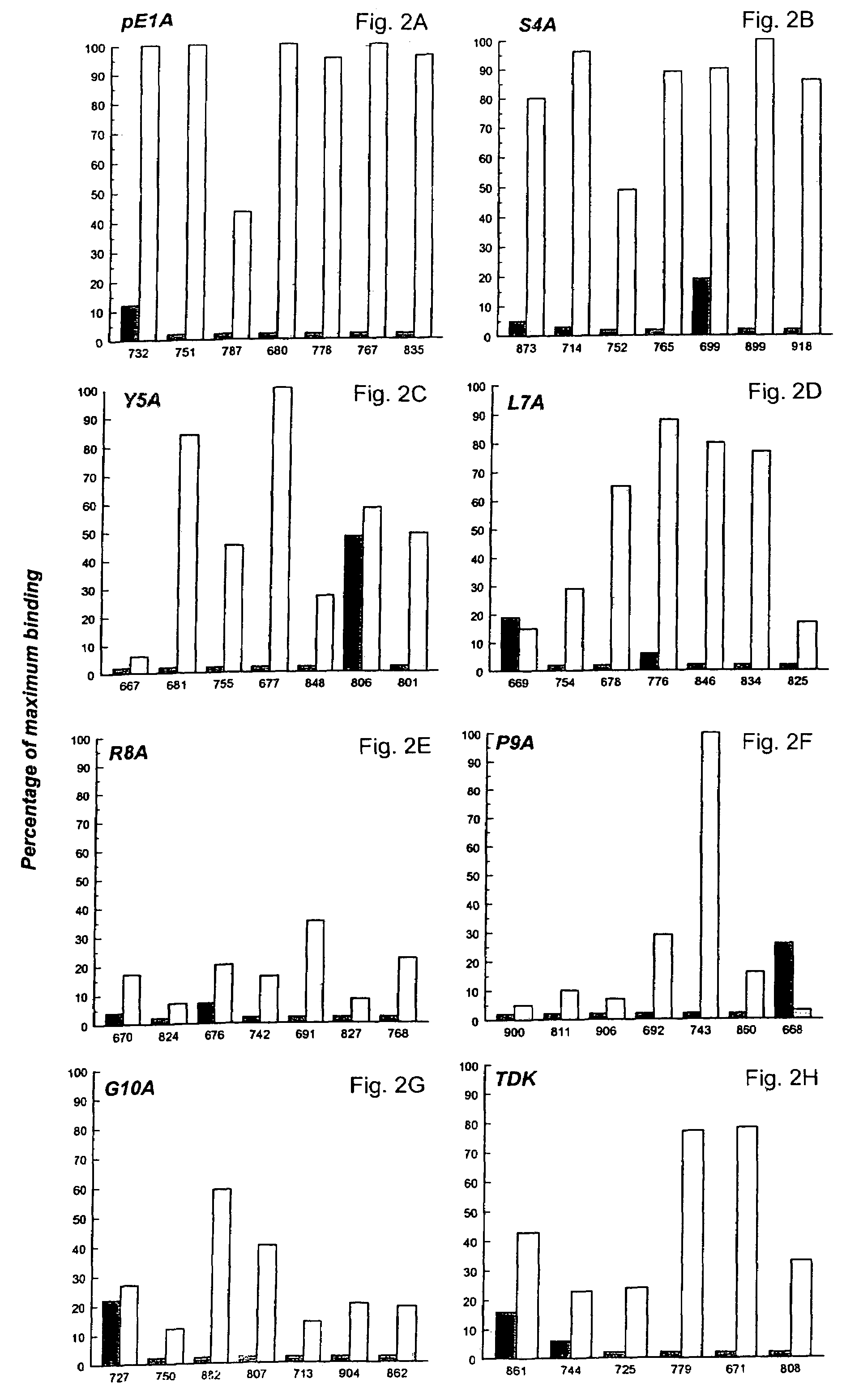 Peptide, immunogenic composition and vaccine or medical preparation, a method to immunize animals against the hormone LHRH, and analogs of the LHRH tandem repeat peptide and their use as vaccine