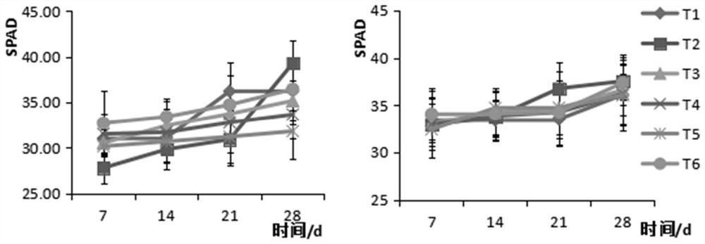 Vegetable seedling culture substrate based on kitchen waste and preparation method of vegetable seedling culture substrate