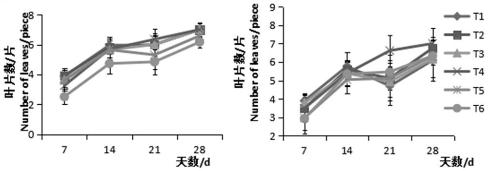 Vegetable seedling culture substrate based on kitchen waste and preparation method of vegetable seedling culture substrate