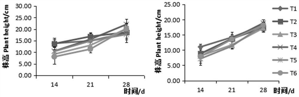 Vegetable seedling culture substrate based on kitchen waste and preparation method of vegetable seedling culture substrate