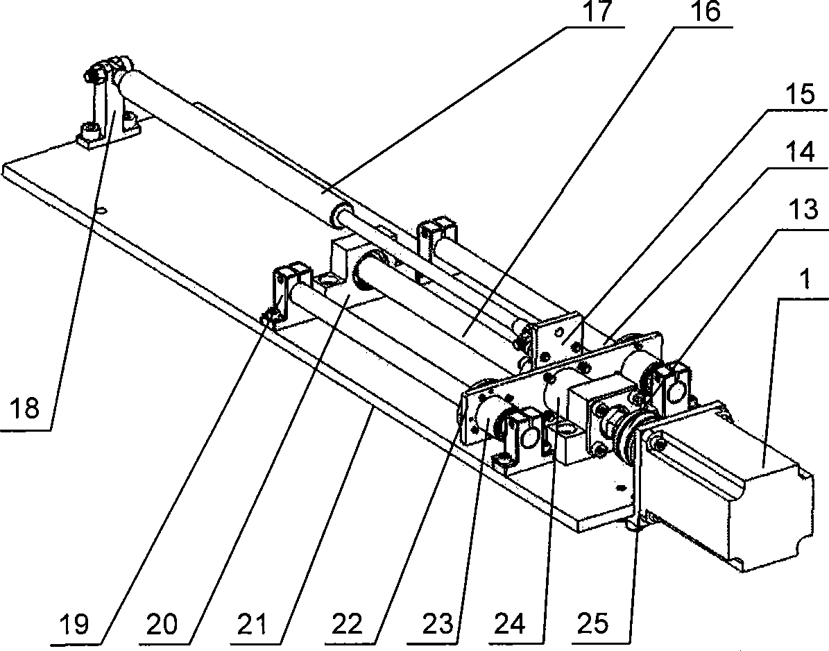 Active partial body weight support treadmill training device and active partial body weight support treadmill training method