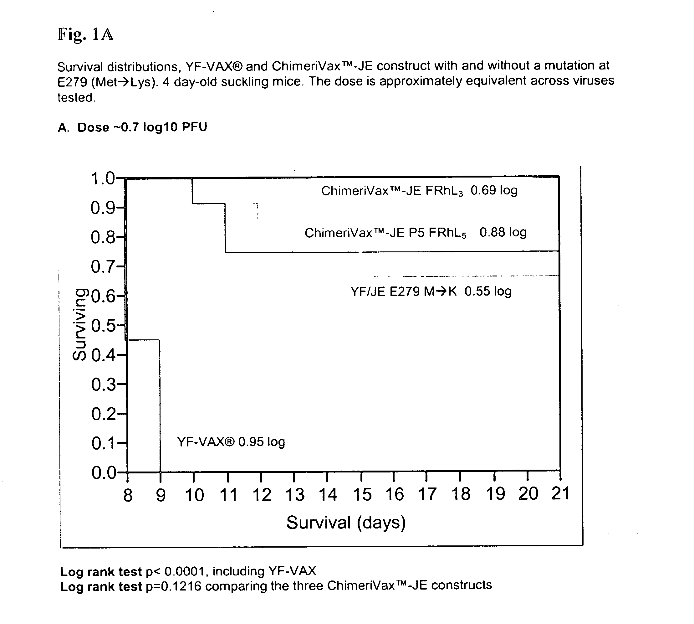 Flavivirus vaccines