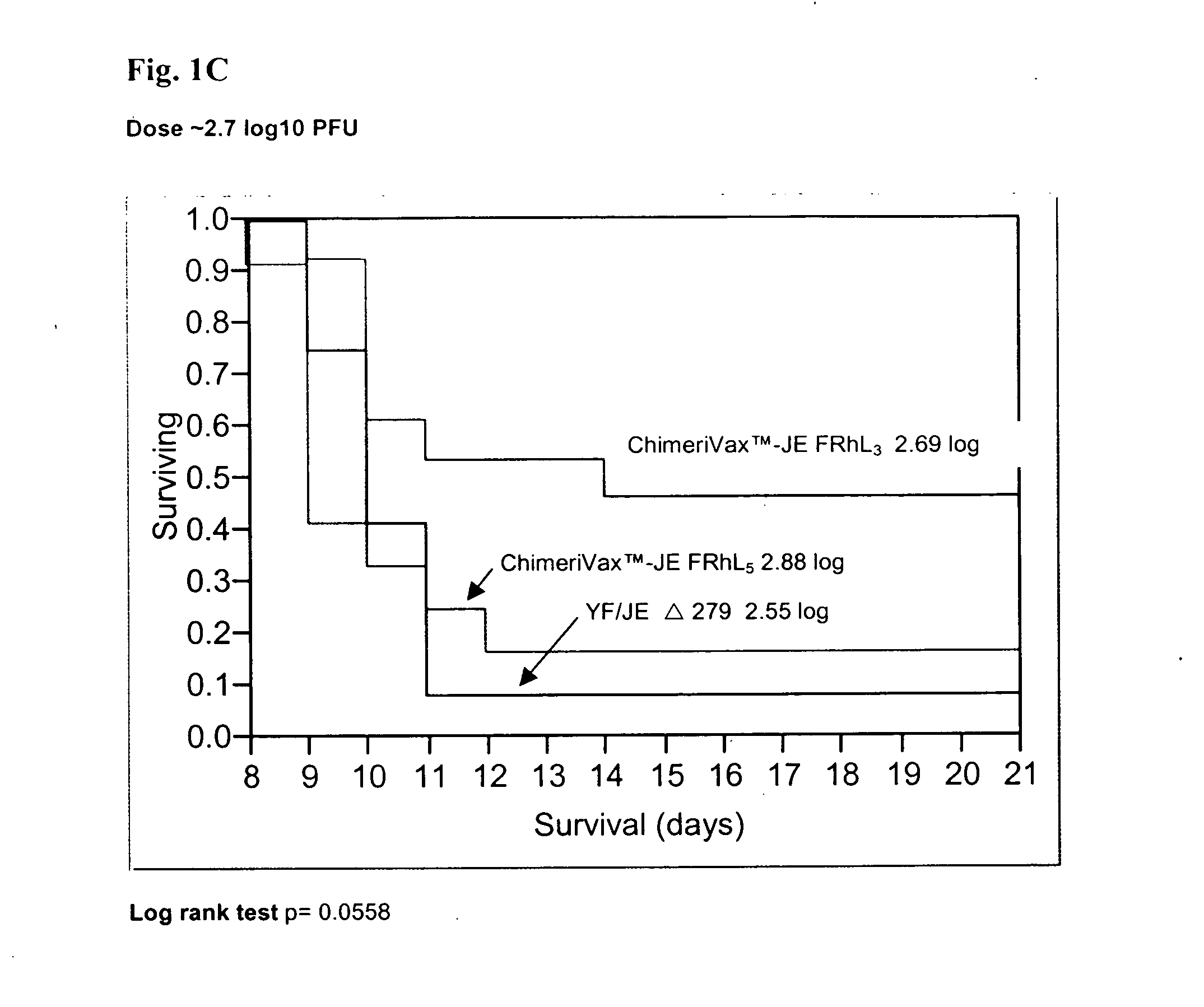 Flavivirus vaccines