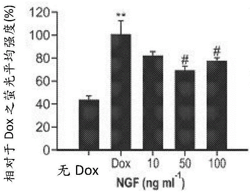 Method and composition for inducing autophagy