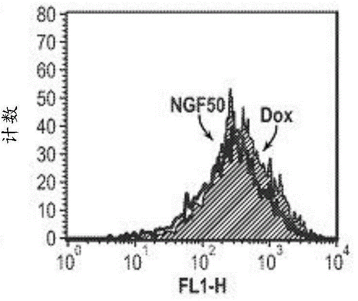 Method and composition for inducing autophagy