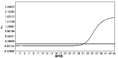 Composition, kit, use and method for detecting deep infection fungi