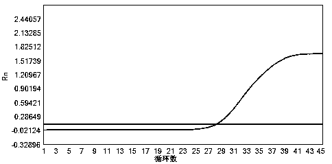 Composition, kit, use and method for detecting deep infection fungi