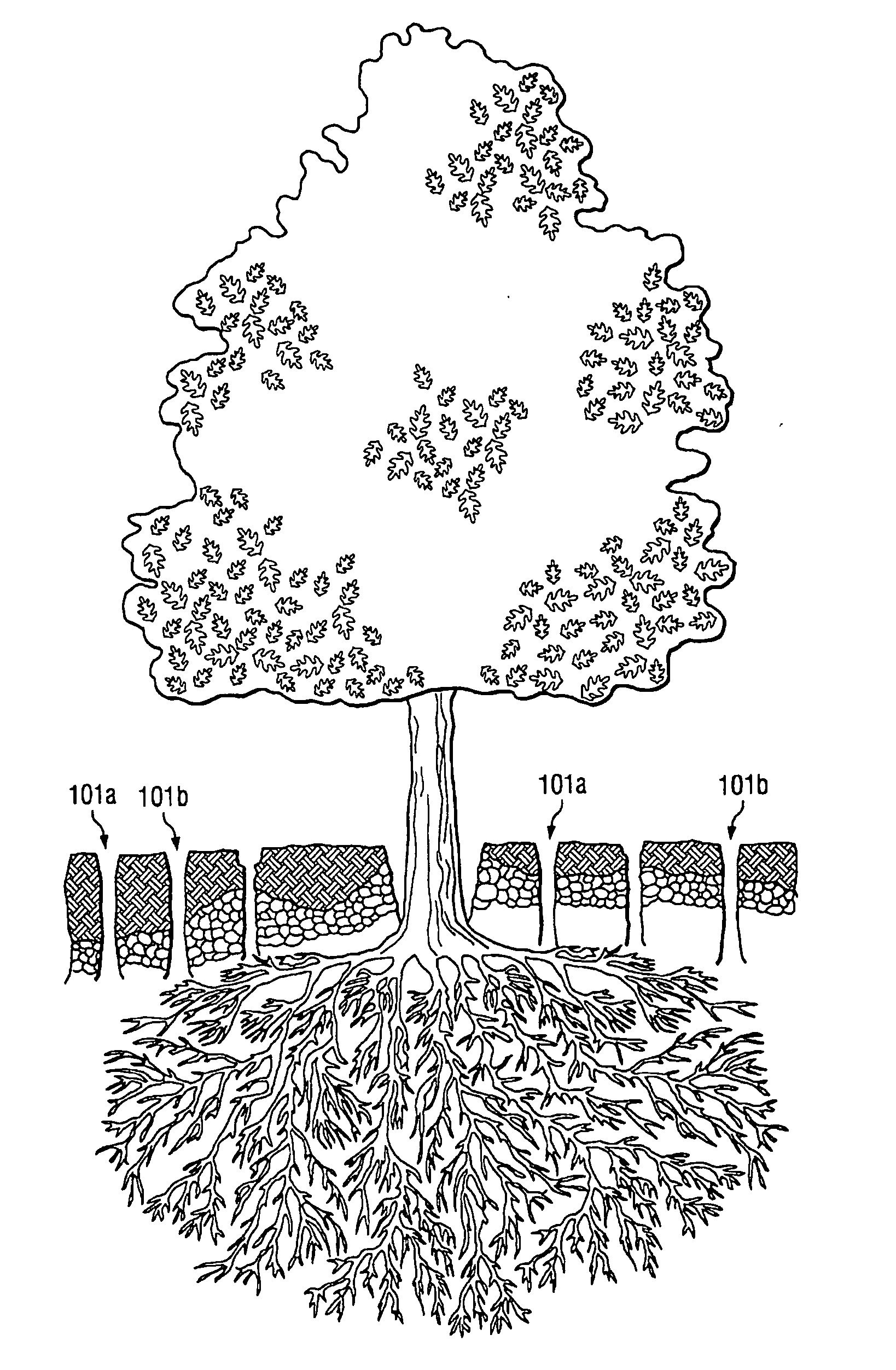 Methods and mixtures for treating distressed trees