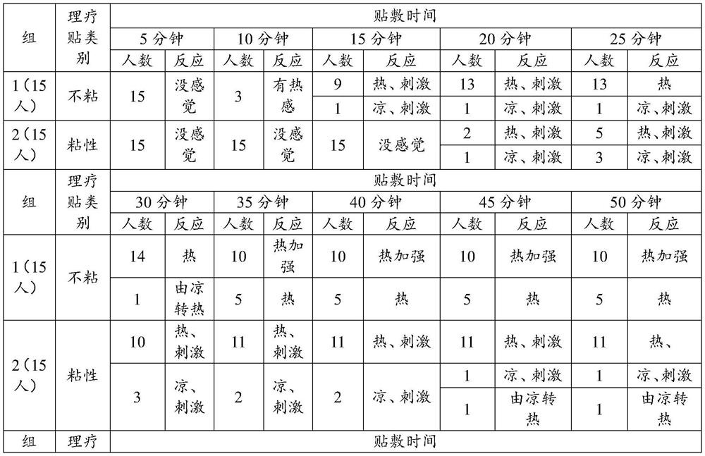 Physiotherapy patch and preparation method thereof