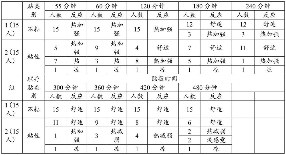 Physiotherapy patch and preparation method thereof