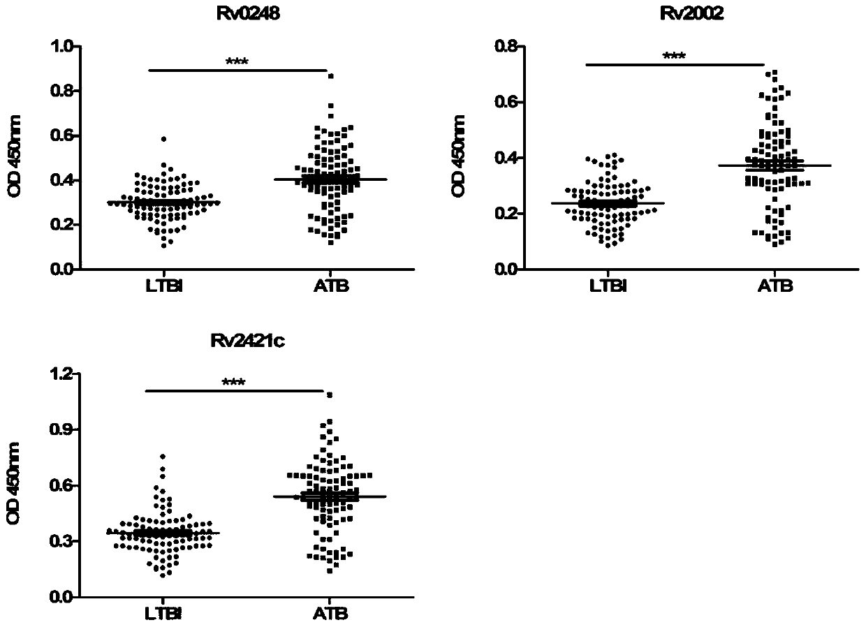 Application of mycobacterium tuberculosis protein in preparation of product for diagnosing latent tuberculosis infectors and/or active pulmonary tuberculosis