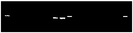 A genetic modification method for improving the insecticidal efficiency of baculovirus