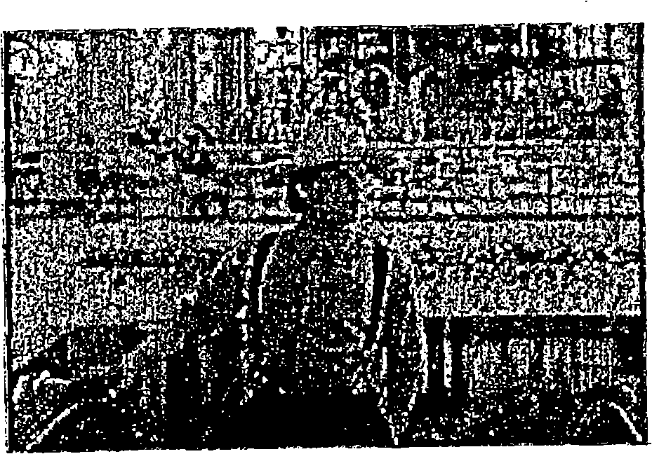 Image encoding/decoding method and apparatus