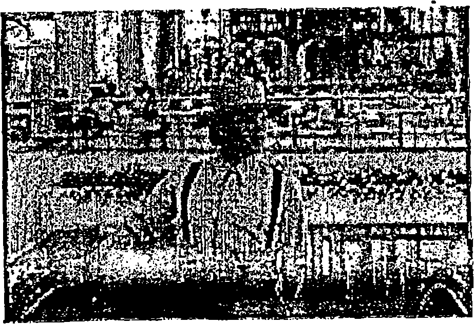 Image encoding/decoding method and apparatus