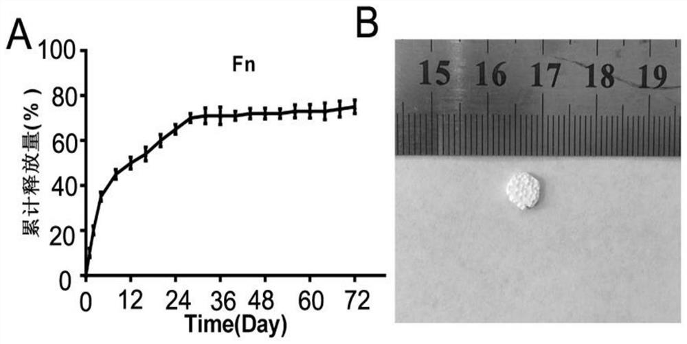 Preparation method of universal drug-loaded calcium phosphate cement (CPC) porous scaffold