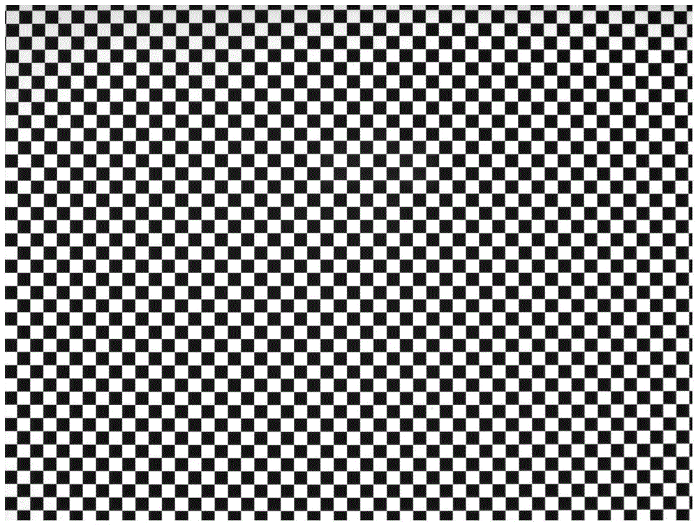 Galvanometer scanning system and scanning method for dual optical path imaging